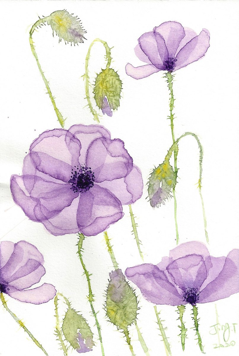 Soft petals#10 by Jing Tian