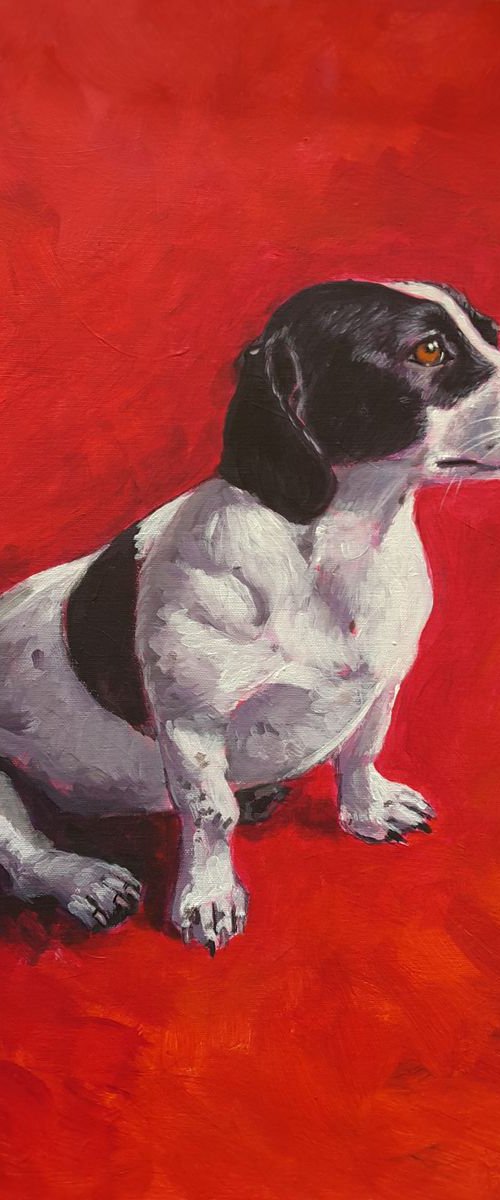 Commissioned pet portraits by Piers Braybrooke