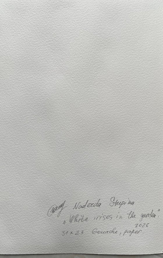 White irises in the garden