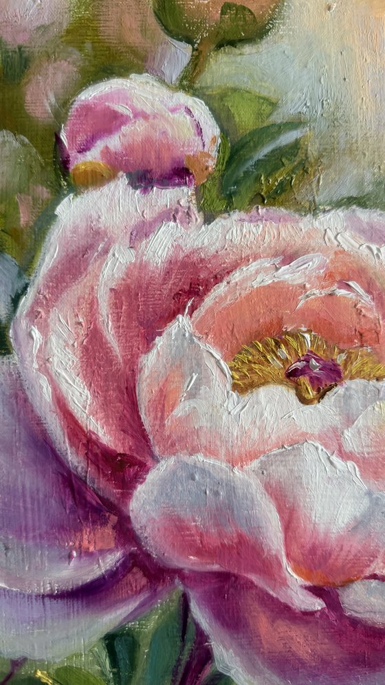 Blush Peony in Bloom