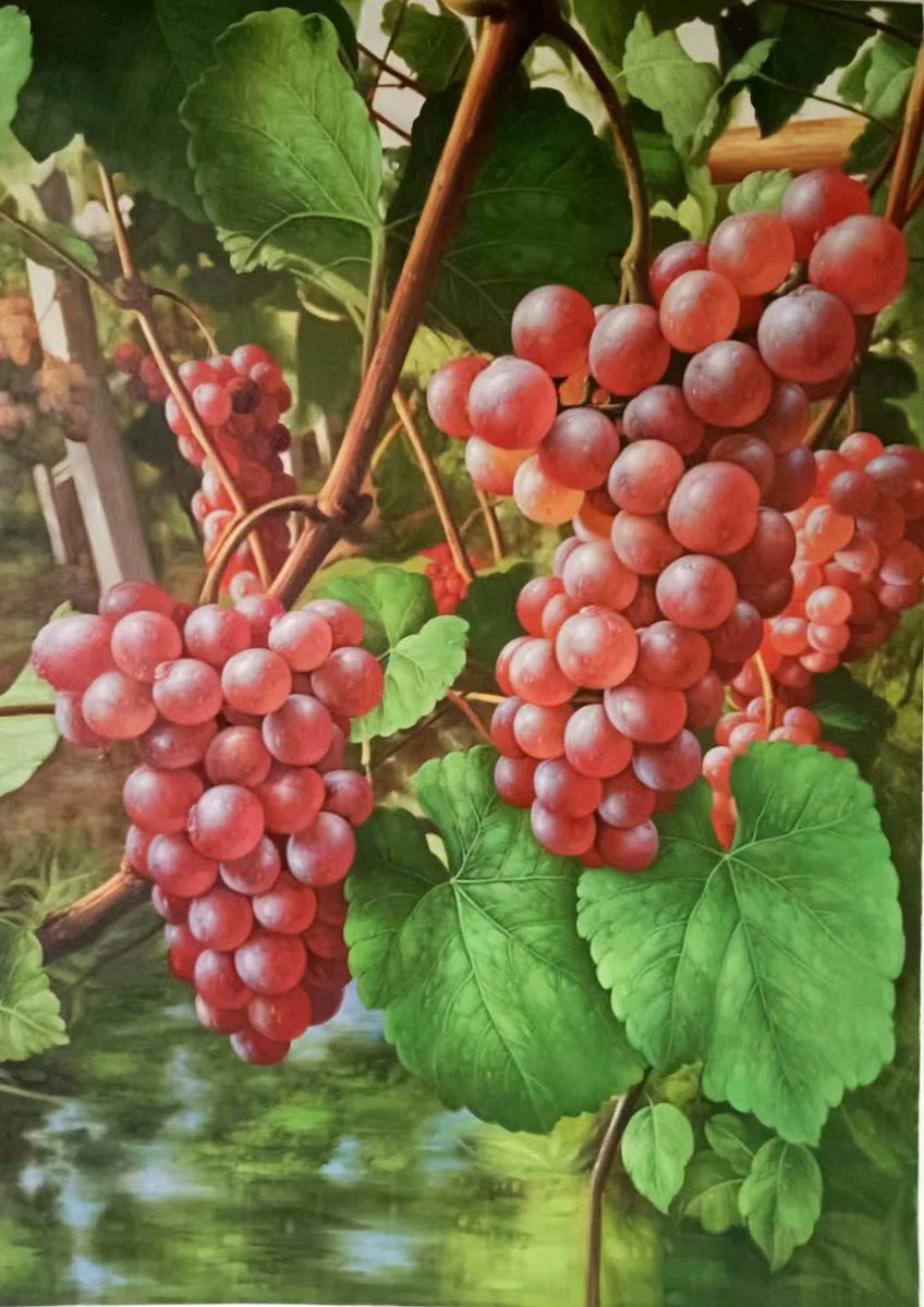 Grapes with leaves t208 by Kunlong Wang