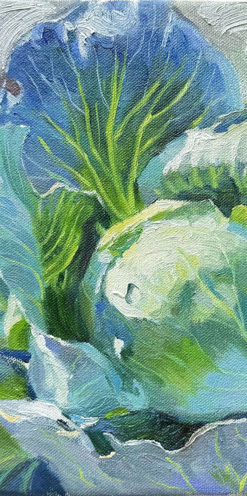 The Cabbage #2 by Nataliia Nosyk