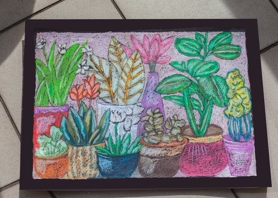Home Plants in Vase
