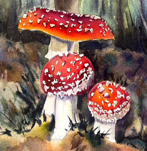 Sunlit Forest Mushrooms