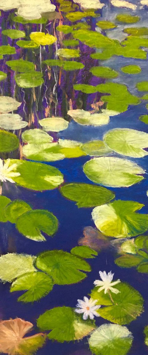 Lotus pond by John Cottee