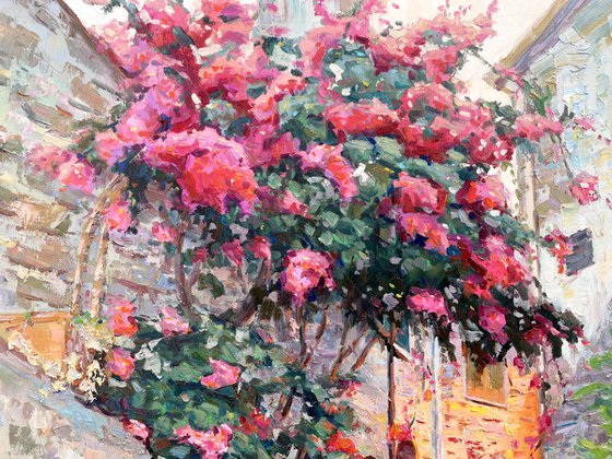 "Evening courtyard "