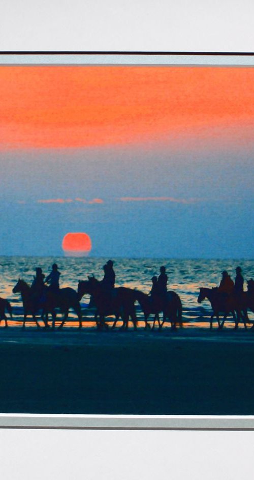 Horses at Sunset by Robin Clarke