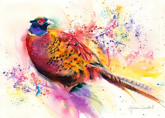 Pheasant - Watercolour Painting