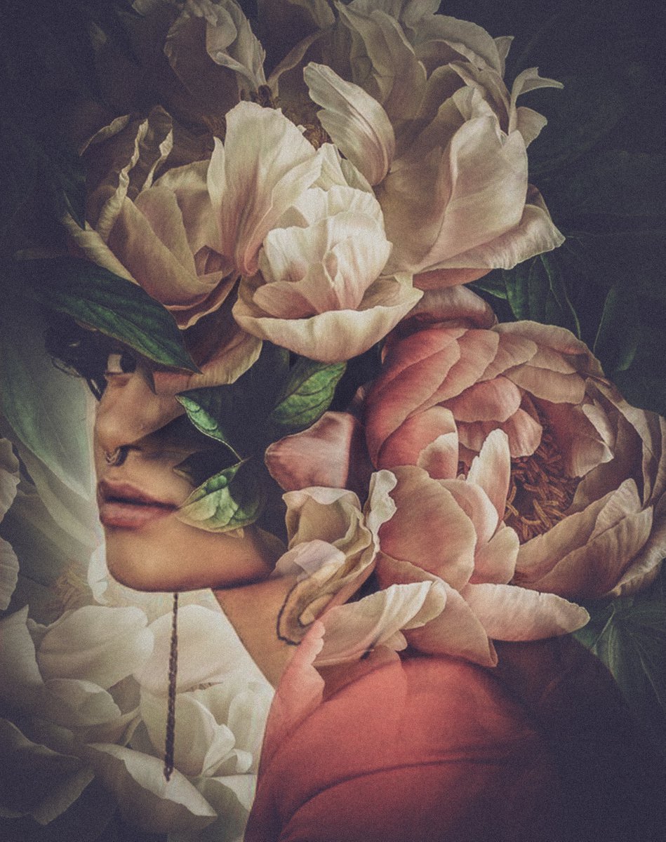 Botanical collection Vol 37. Garden roses. Art portrait on canvas by Elmira Namazova