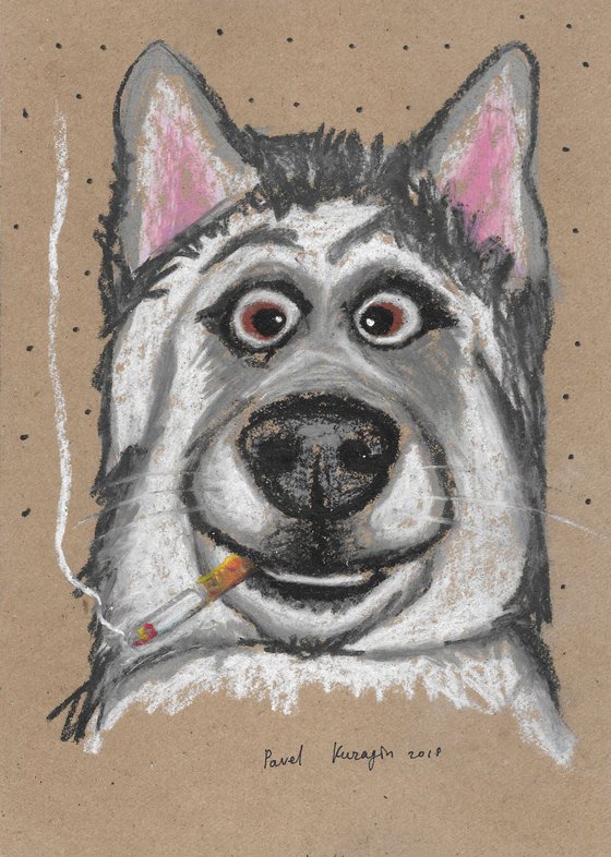 Smoking husky