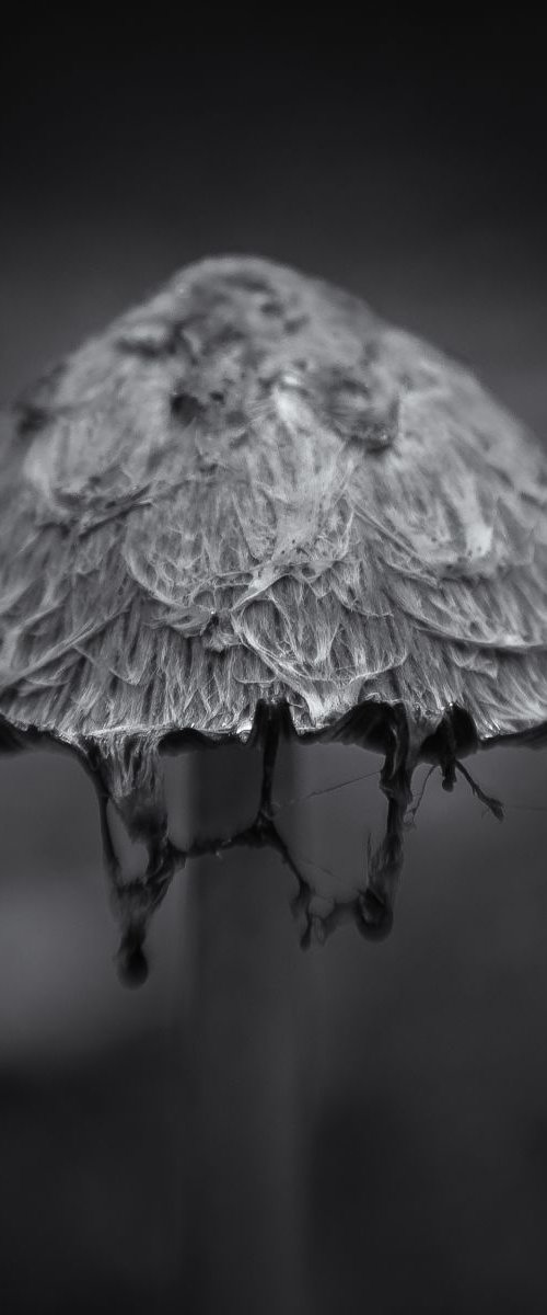 mr ink cap by Marcus Scott