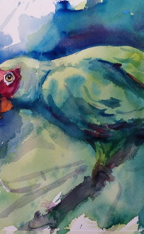 parrot 13 by Giorgio Gosti
