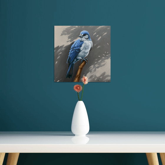 Blue Jay’s Vigil