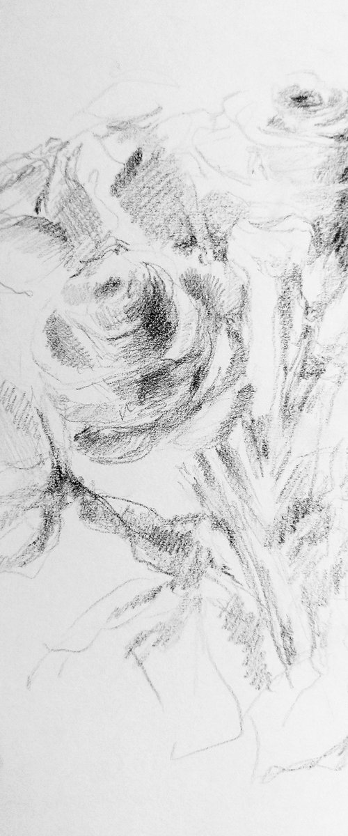 Roses #5. Original pencil drawing by Yury Klyan