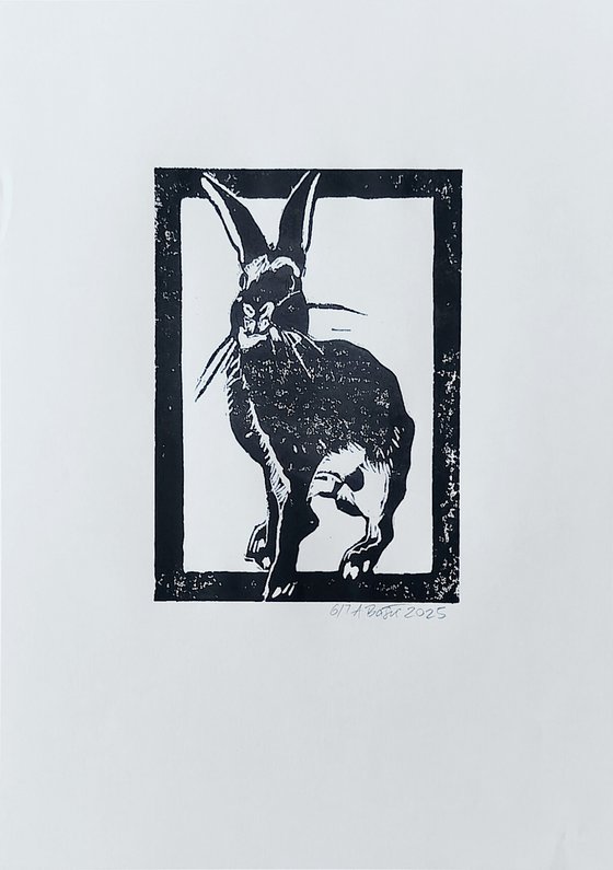 Rabbit 6/7