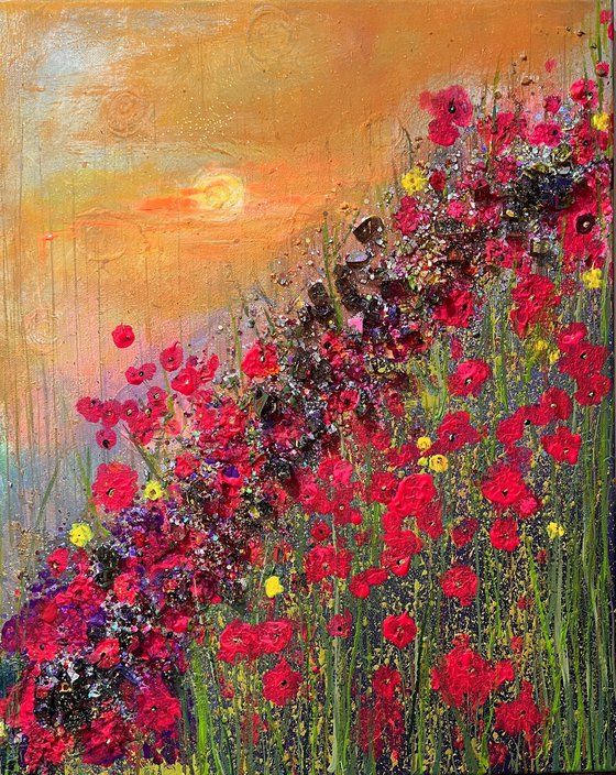 Sunset in the poppy fields