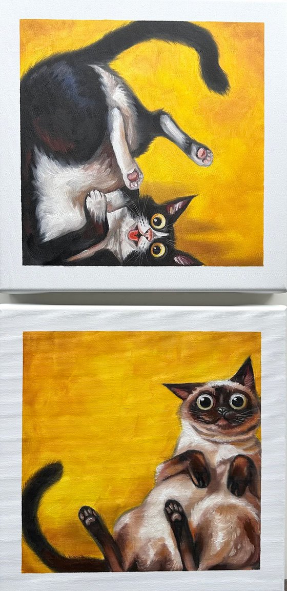 Same Energy