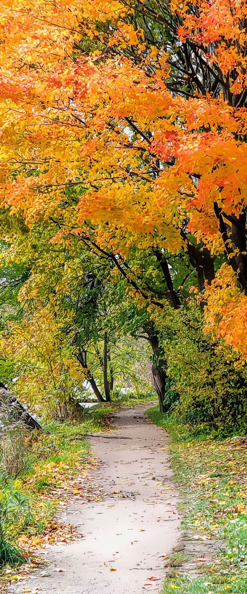 Riverside Path in Autumn by Barbara Storey