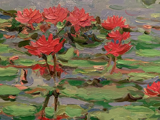 WATER LILY POND - Landscape with rose waterlily - oil painting - small size