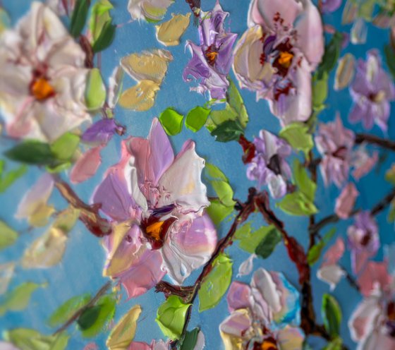 Blossoms Apple Tree