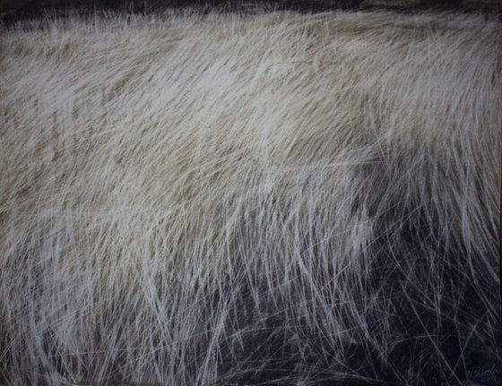 Dried grass