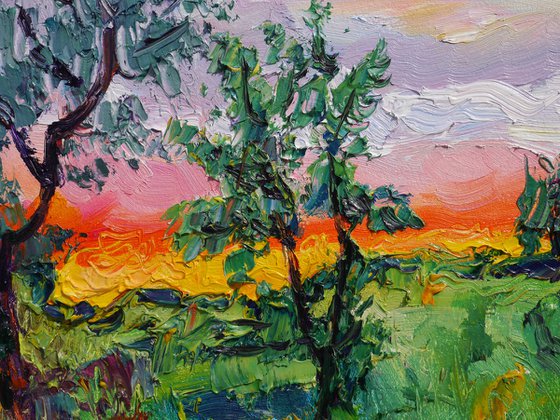 Summer sundown (framed)