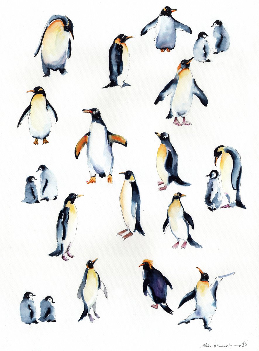 Arctic Penguins by Bogdan Shiptenko