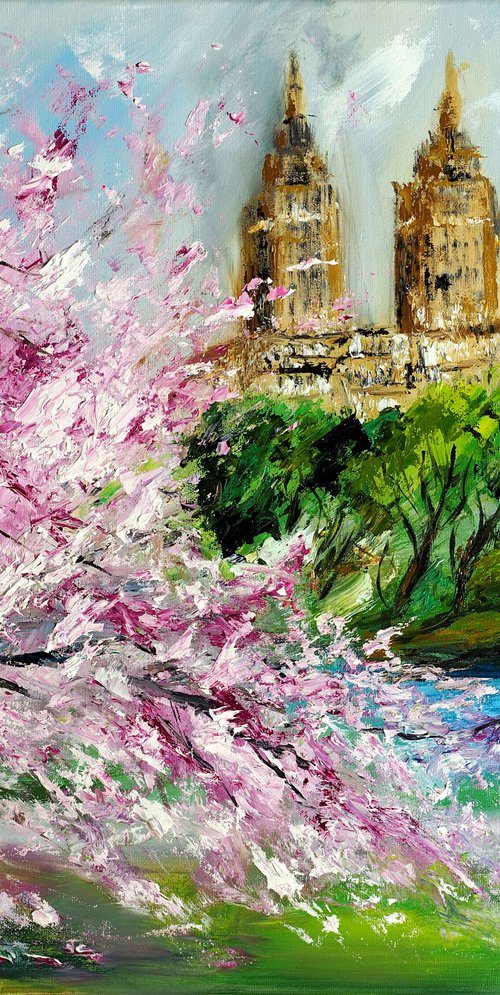 Cherry Blossoms at Central Park, New York by Ruslana Levandovska