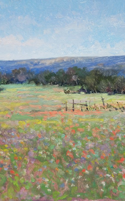 Meadow in Provence by Pascal Giroud