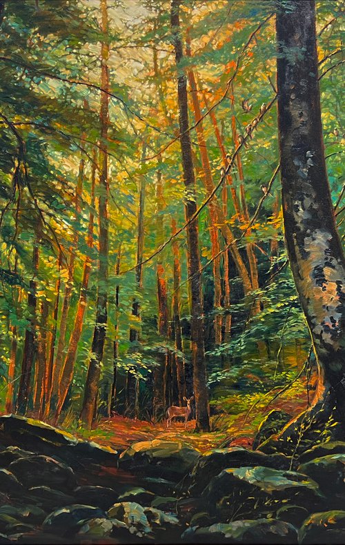 Forest : Fascinating Woods by Vinayak Bhoeer