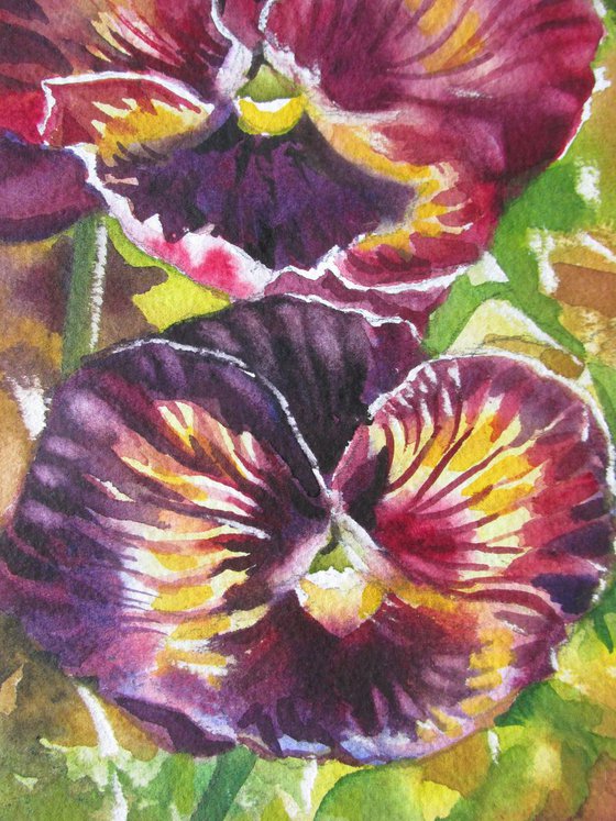 Two pansy