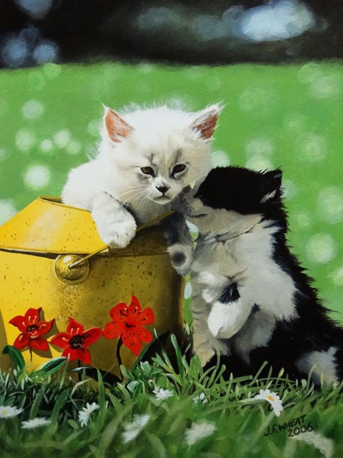 Kittens by Julian Wheat
