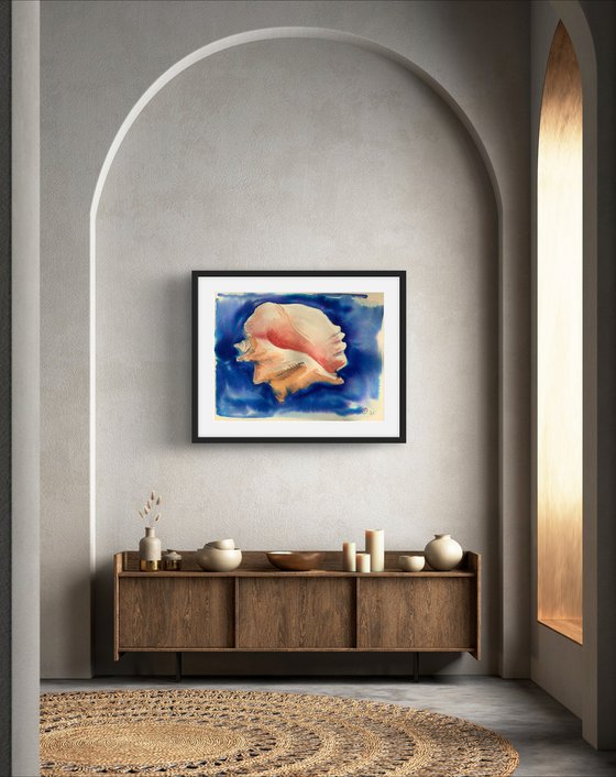Sea shells