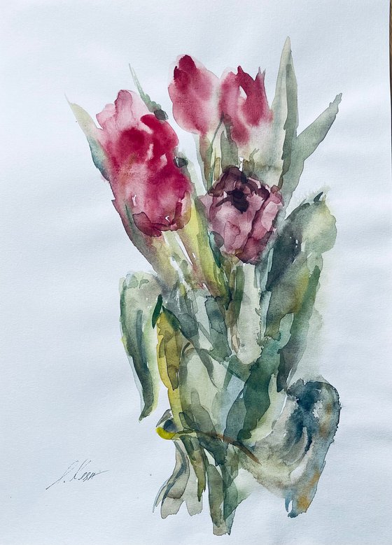 Tulips 2 2024