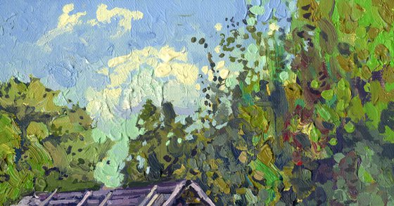 Baths in the Orlovo village