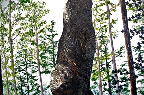 Sculptural Twisted Tree.