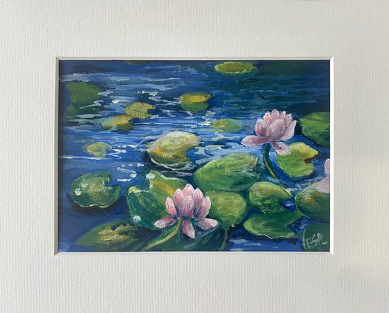 Pink water lilies