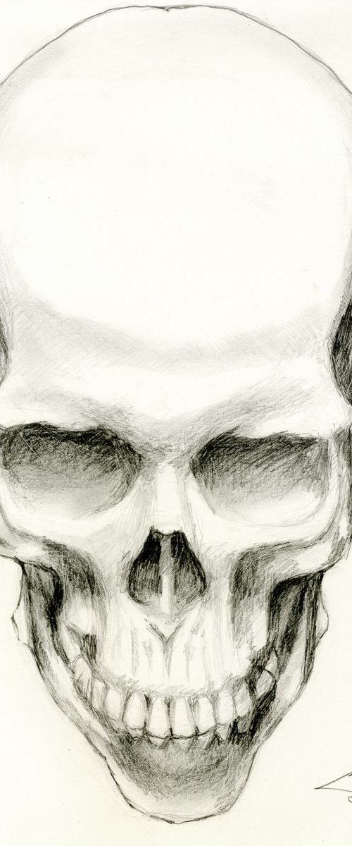 Skull Study One by James Simon