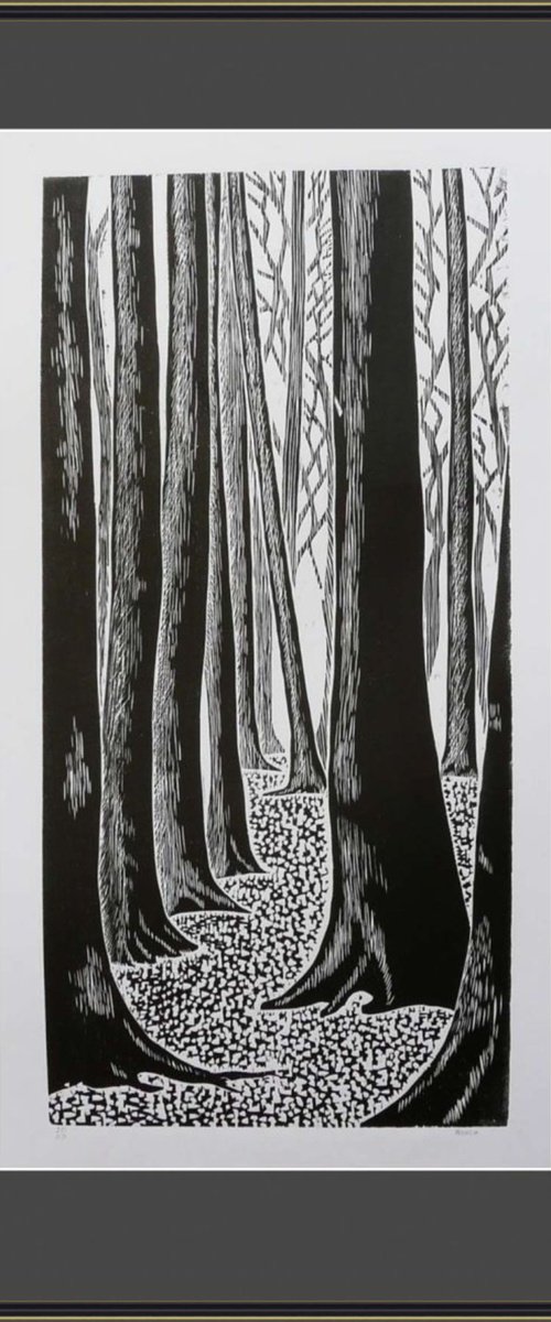 Eucalyptus grove by Sergei Monin