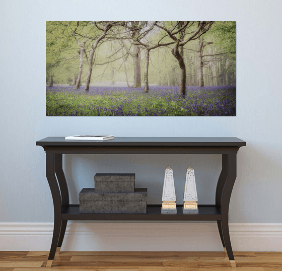 Bluebell Woodland