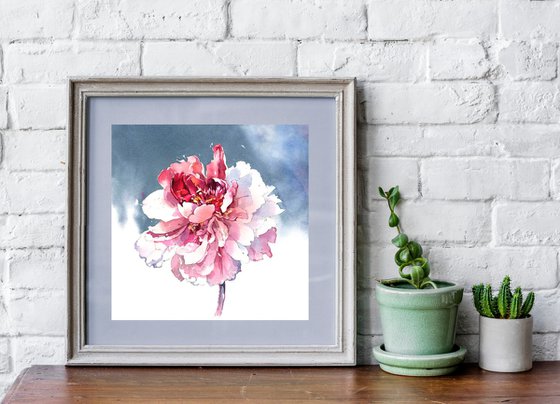 Fantasy flower "Peony on a gray background" original botanical watercolor square format