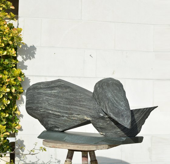 "Particular Insight"