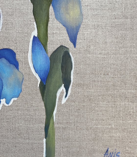 Blue Iris