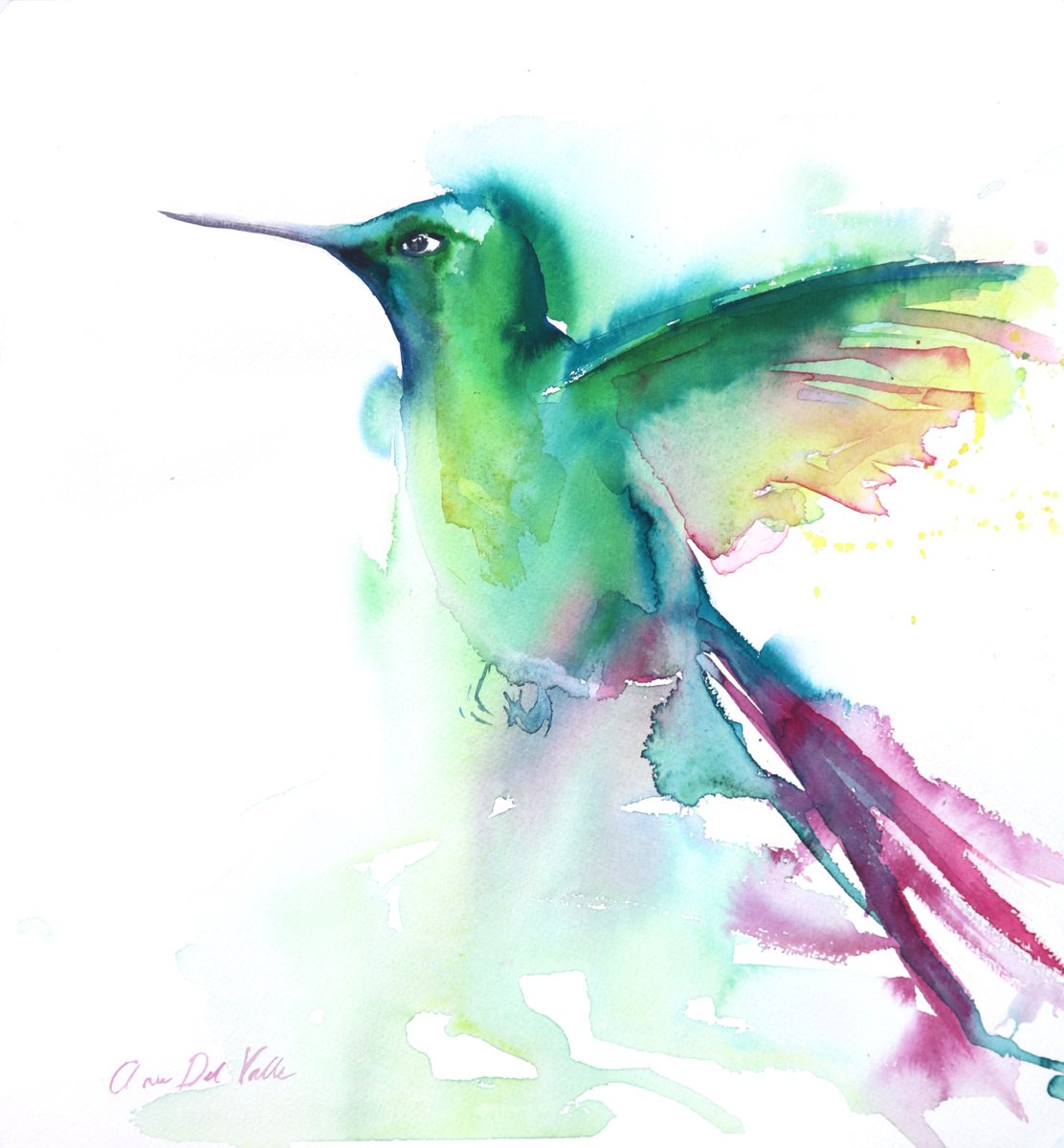Long tailed Hummingbird II by Aimee Del Valle
