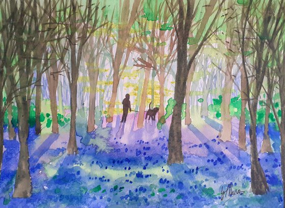 Bluebell Walk - Norfolk scene