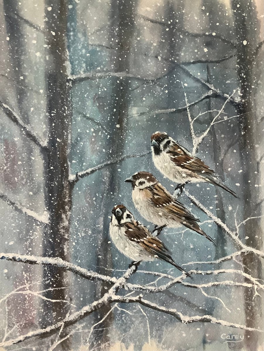 Impressionistic Animal Watercolour By Darren Carey, 11 X 15, Winter Scene, Sparrow