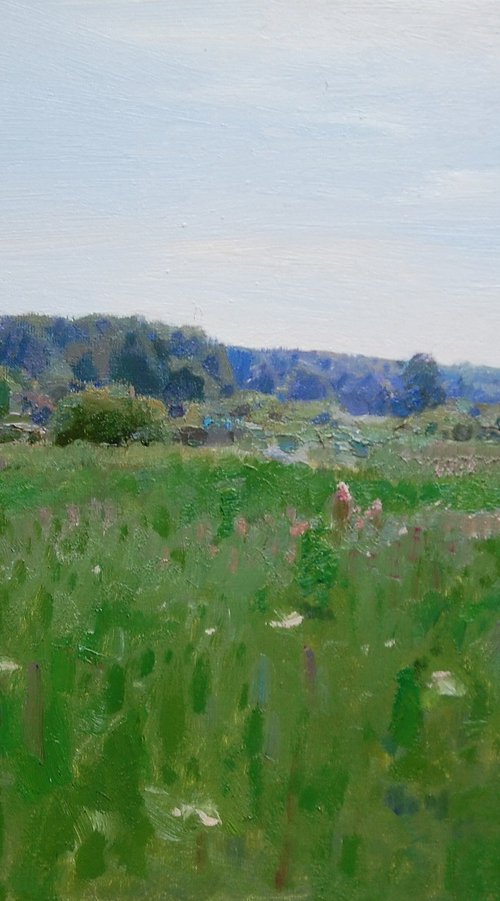 In the meadow by Denys Gorodnychyi