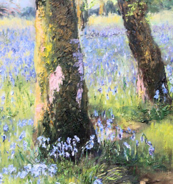 Bluebell Time