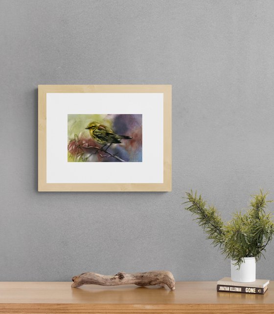 pine warbler watercolor