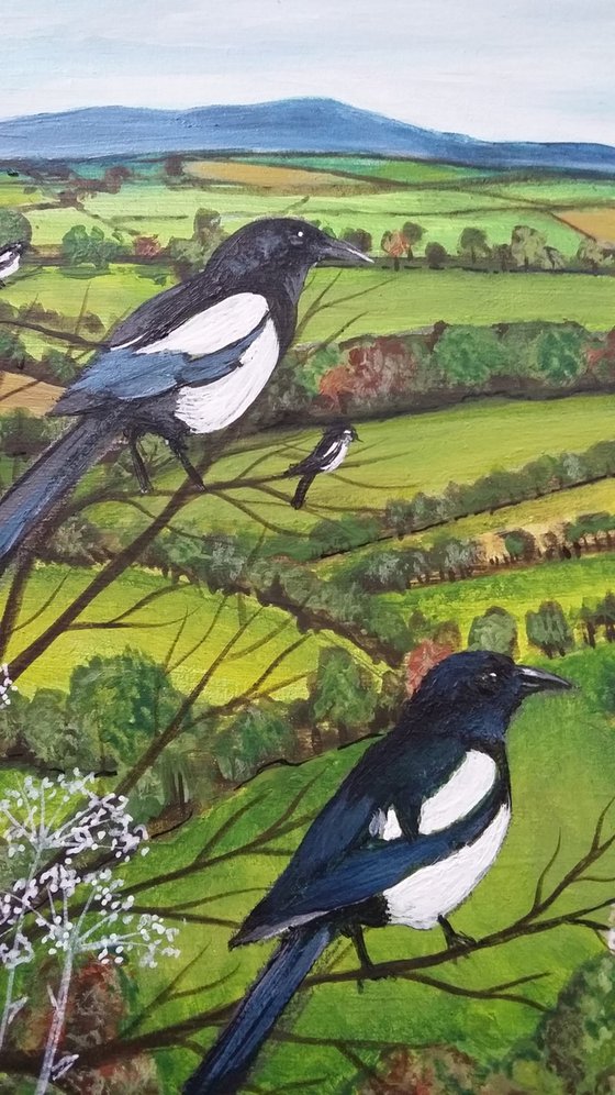 A mischief of magpies